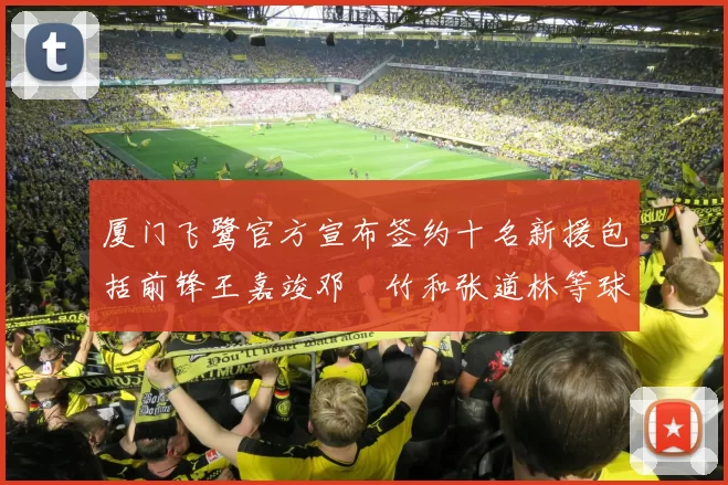 厦门飞鹭官方宣布签约十名新援包括前锋王嘉竣邓棽竹和张道林等球员